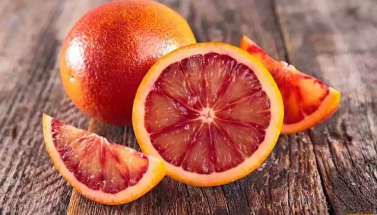 مدار الساعة,أخبار الأسرة