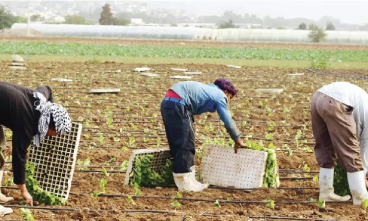 مدار الساعة,أخبار الأردن,اخبار الاردن,وزارة الزراعة