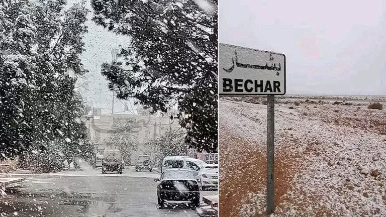 مدار الساعة,أخبار عربية ودولية,الأرصاد الجوية