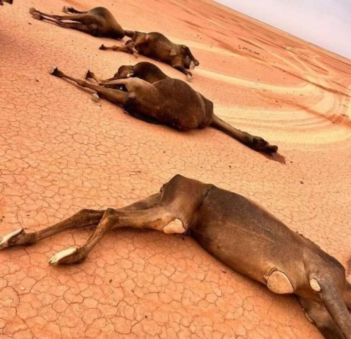 مدار الساعة,أخبار عربية ودولية