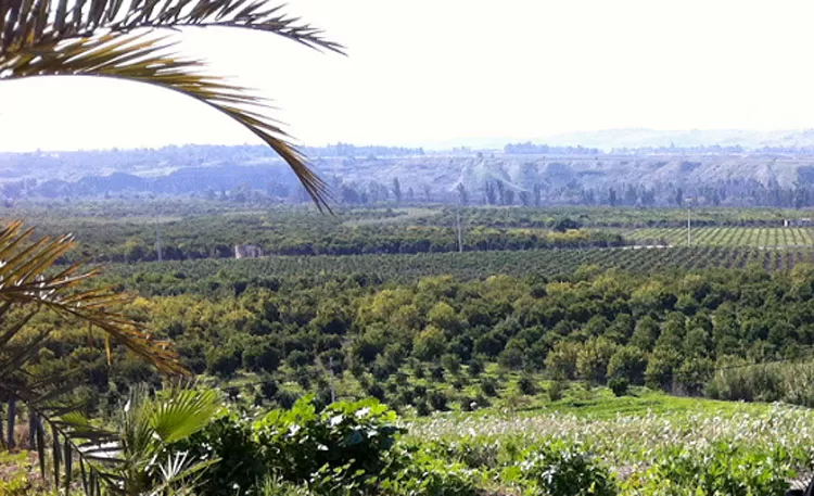 مدار الساعة,أخبار الأردن,اخبار الاردن,وكالة الأنباء الأردنية