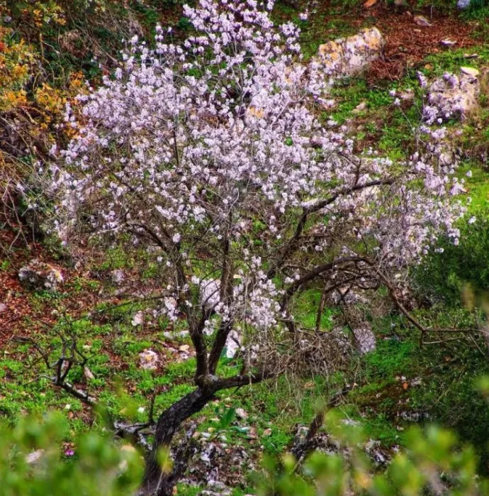 مدار الساعة,أخبار الأردن,اخبار الاردن,درجات الحرارة