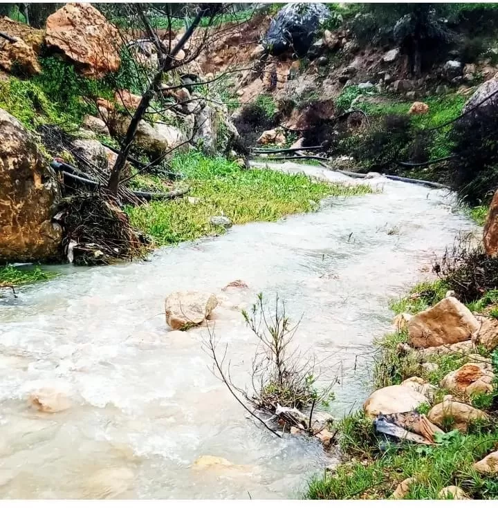 مدار الساعة,أخبار الأردن,اخبار الاردن,أخبار السياحة في الأردن