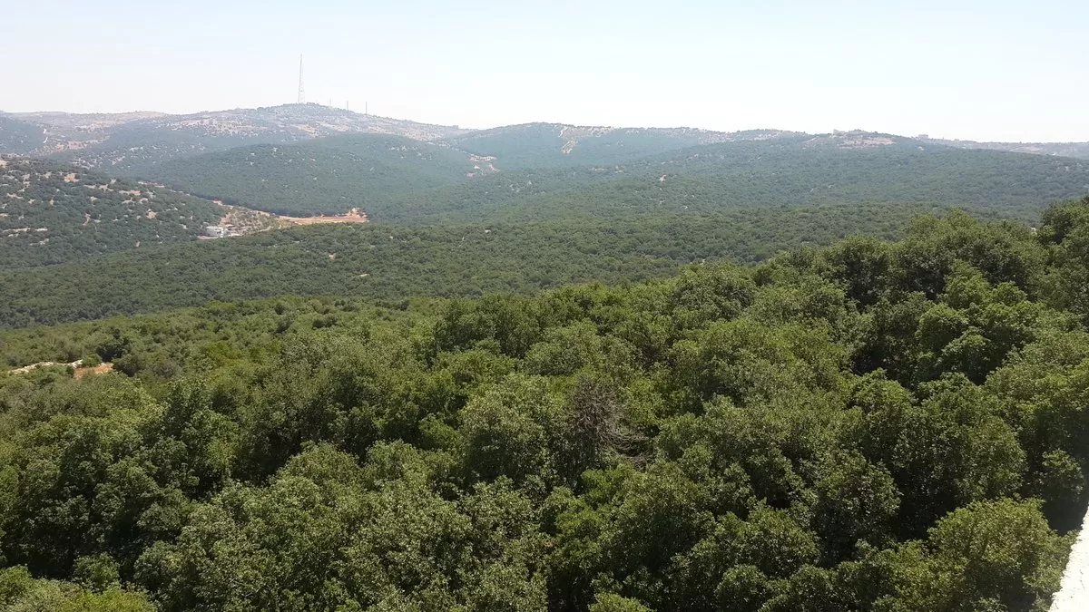 مدار الساعة,أخبار الأردن,اخبار الاردن,درجات الحرارة