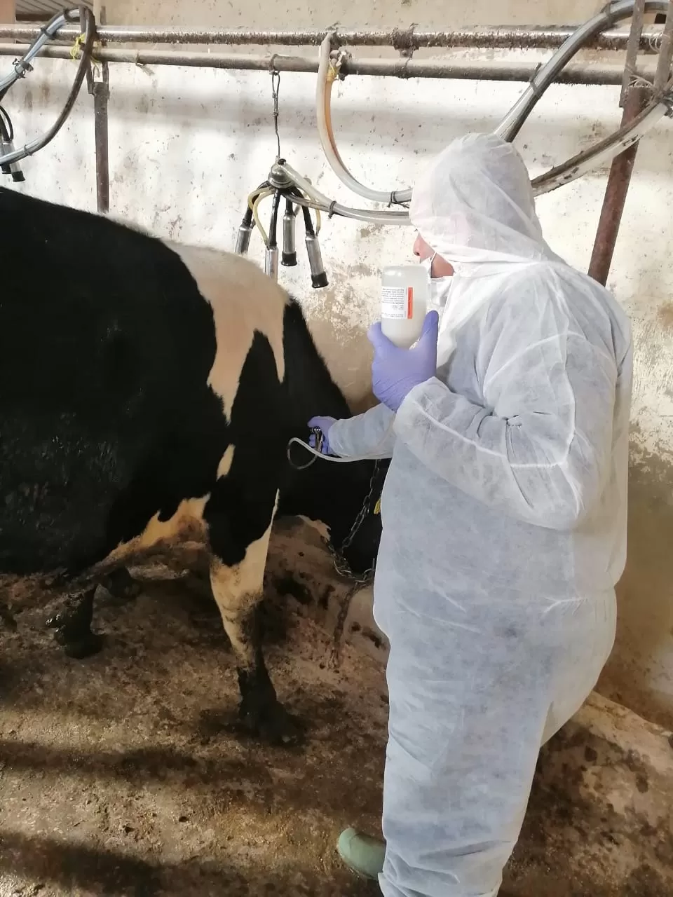 مدار الساعة,أخبار الأردن,اخبار الاردن,وزير الزراعة