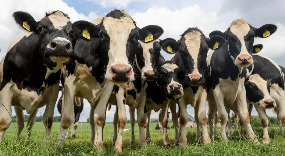 مدار الساعة,أخبار الأردن,اخبار الاردن,وزارة الزراعة