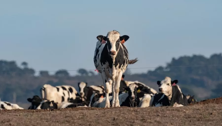 مدار الساعة,أخبار الأردن,اخبار الاردن,وزارة الزراعة