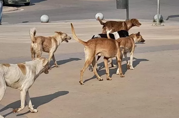 مدار الساعة,Video,فيديو,أخبار مجلس النواب الأردني