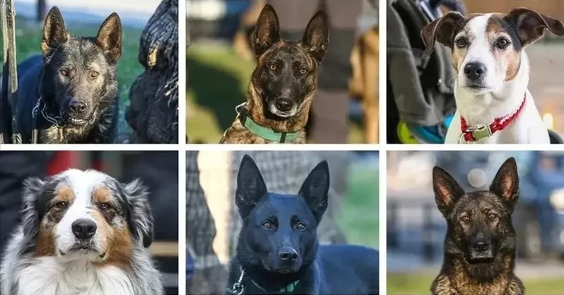 مدار الساعة,أخبار عربية ودولية,مواقع التواصل الاجتماعي