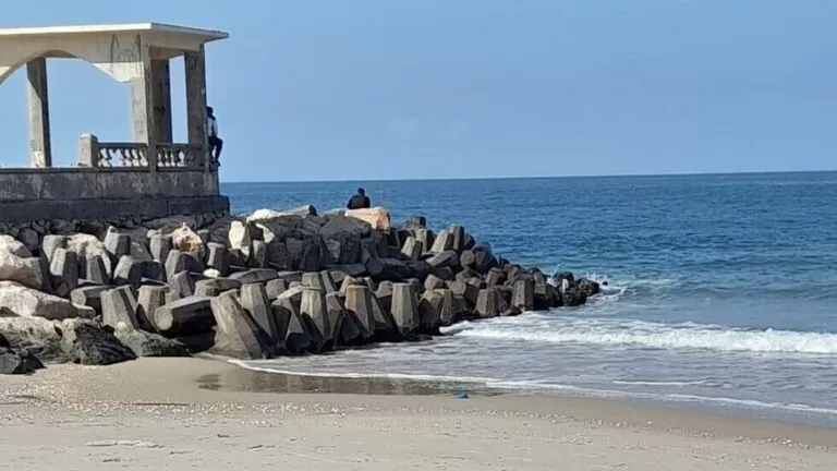 مدار الساعة,أخبار عربية ودولية,وزارة البيئة