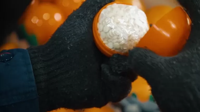 مدار الساعة,أخبار الأردن,اخبار الاردن