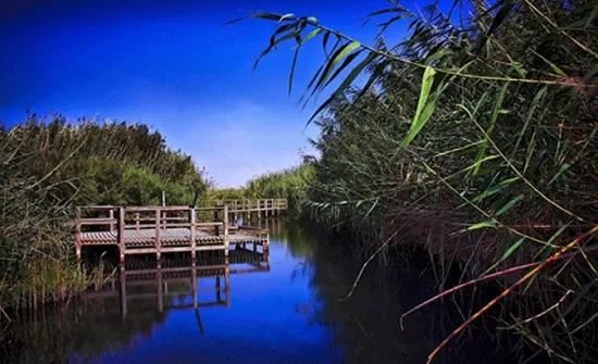 مدار الساعة,أخبار الأردن,اخبار الاردن,التنمية المستدامة