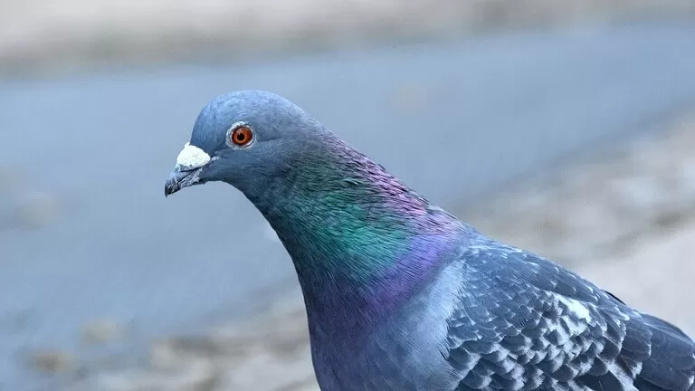 مدار الساعة,أخبار خفيفة ومنوعة