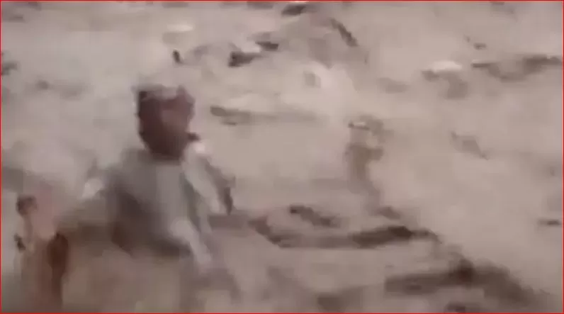مدار الساعة,Video,فيديو,أخبار خفيفة ومنوعة,وسائل التواصل الاجتماعي