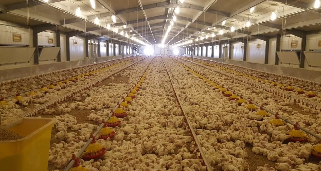 مدار الساعة,أخبار الأردن,اخبار الاردن,وزارة الصناعة والتجارة,وزارة الصناعة