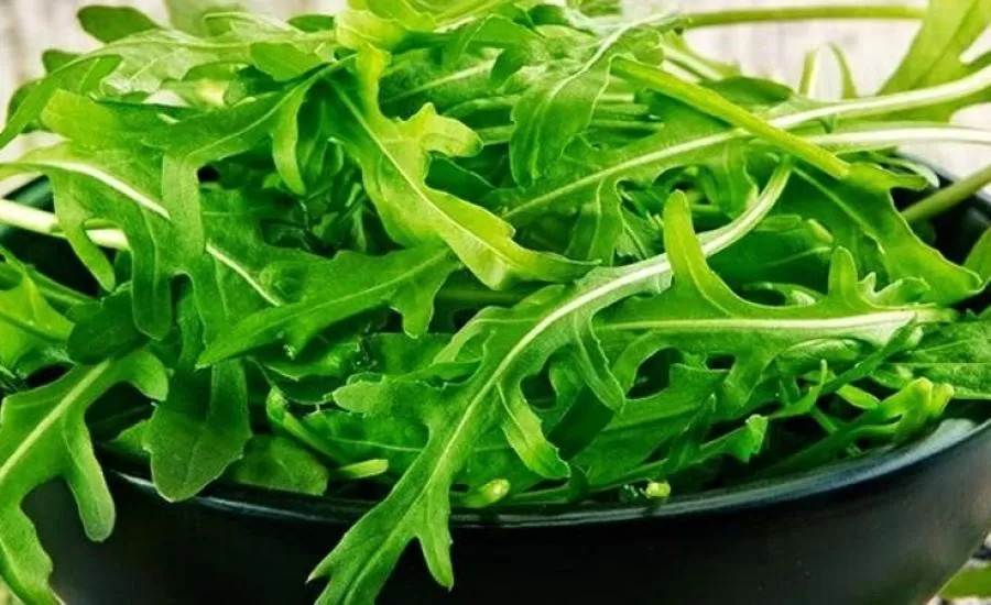 مدار الساعة,أخبار خفيفة ومنوعة