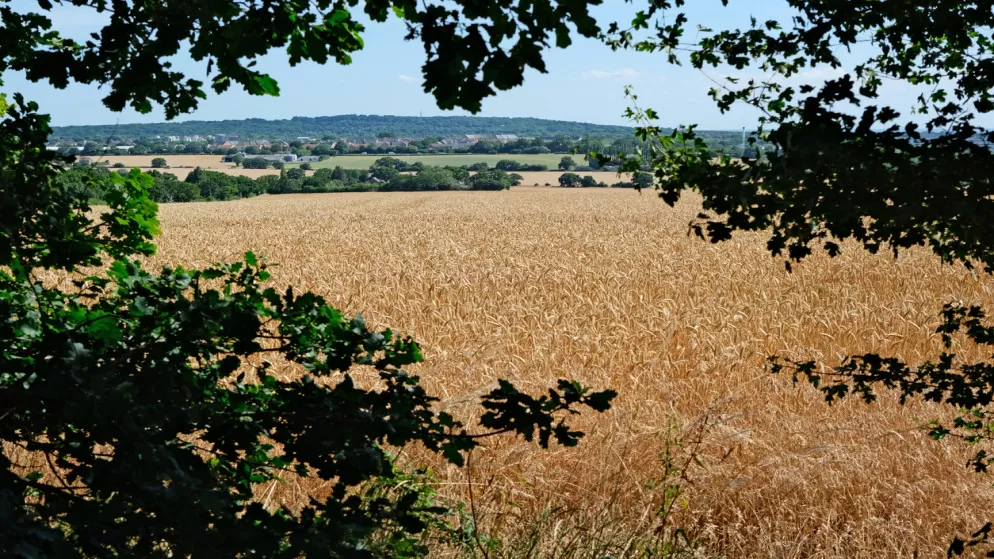 مدار الساعة,أخبار عربية ودولية,منظمة الصحة العالمية,الأمم المتحدة,يونيسيف,التنمية المستدامة