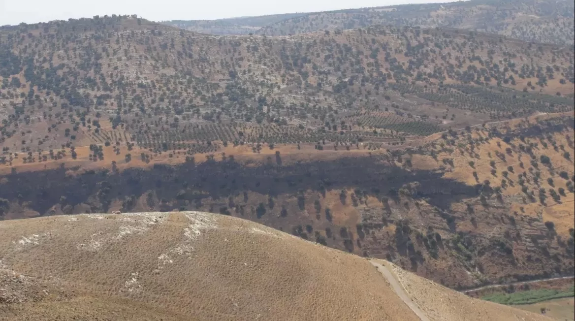 مدار الساعة,أخبار عربية ودولية