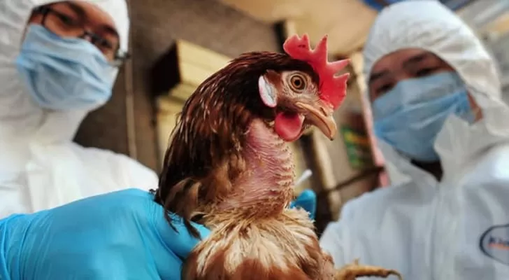 مدار الساعة,أخبار عربية ودولية,منظمة الصحة العالمية