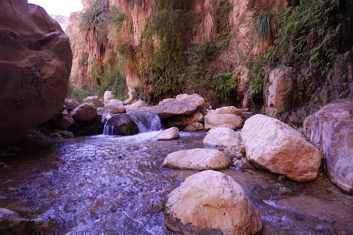 مدار الساعة,أخبار السياحة في الأردن,وكالة الأنباء الأردنية,مواقع التواصل الاجتماعي