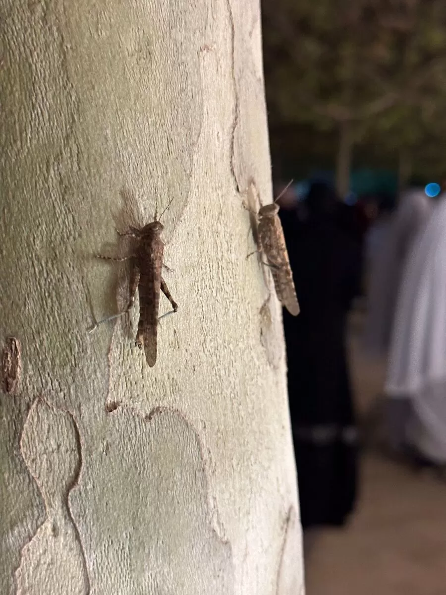 مدار الساعة,Video,فيديو,أخبار الأردن,اخبار الاردن