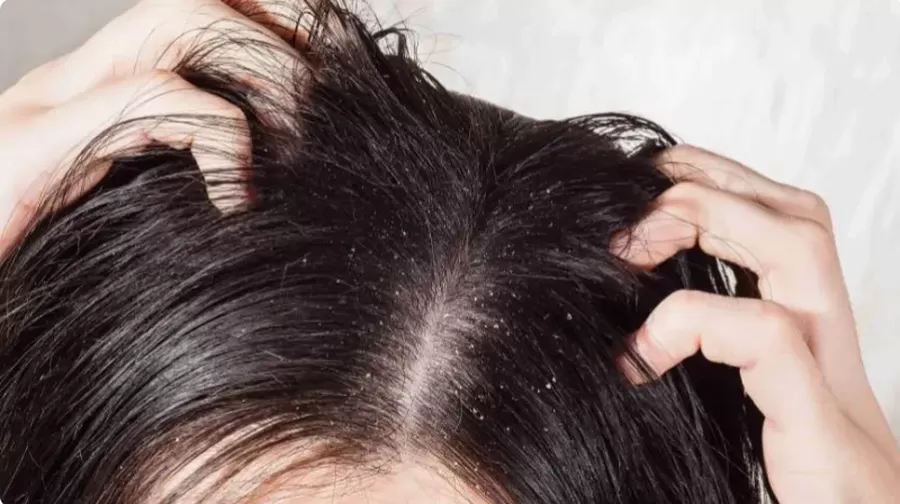 مدار الساعة,أخبار عربية ودولية,#تسمم_بالمبيدات_الحشرية #الأمانة_في_شراء_الأدوية #الوعي_الصحي_للأسرة