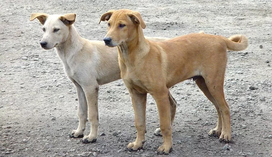 مدار الساعة,أخبار الأردن,اخبار الاردن