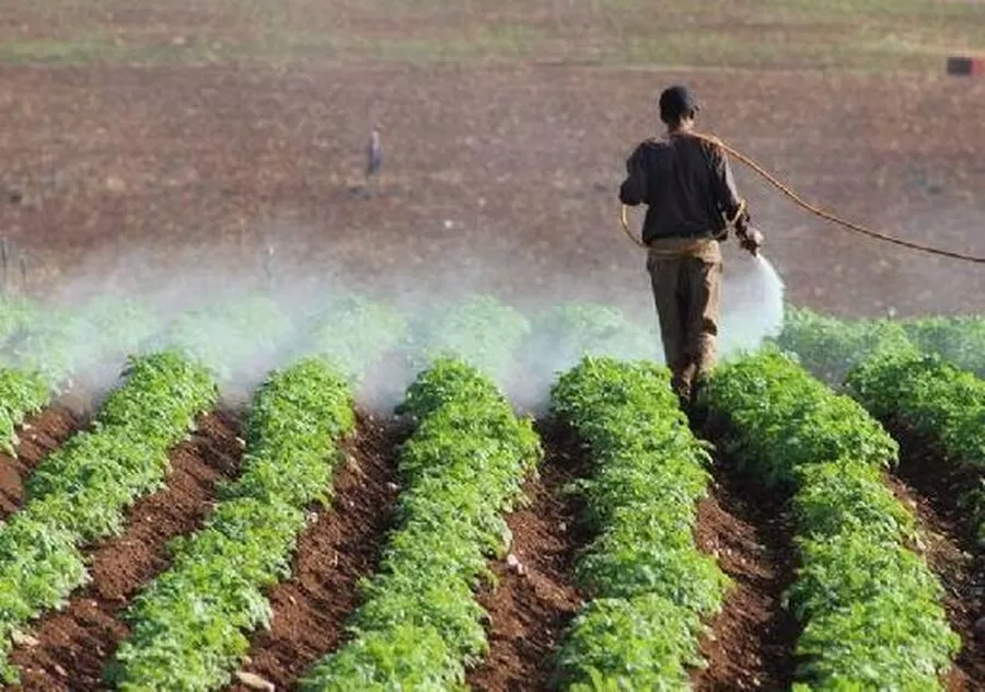 مدار الساعة,أخبار الأردن,اخبار الاردن,وسائل التواصل الاجتماعي,#فرص_عمل_مؤقتة #العمل_الدولي #الزراعة_في_الأردن