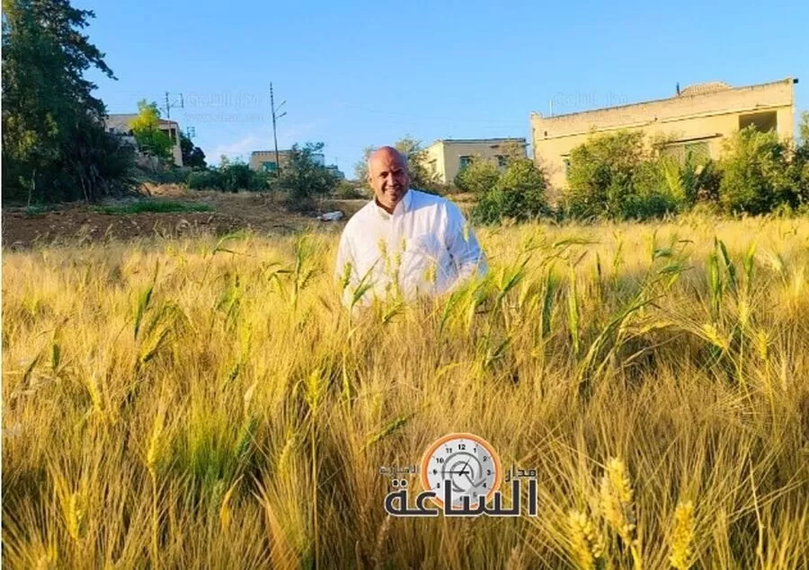 مدار الساعة,Video,فيديو,مناسبات أردنية,#غريسا #سنابل_القمح #جمال_الطبيعة