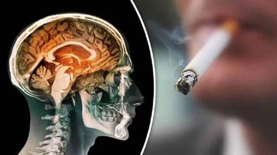مدار الساعة,أخبار خفيفة ومنوعة,#تدخين_السجائر #صحة_الدماغ #الإقلاع_عن_التدخين