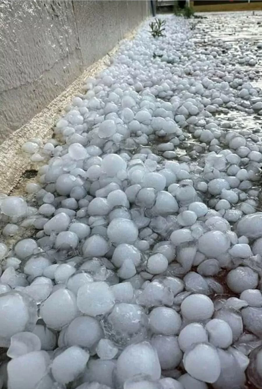 مدار الساعة,أخبار الأردن,اخبار الاردن,رقم الطوارئ الموحد,مديرية الأمن العام,الأمن العام,1. #تحذيرات_الأمن_العام,2. #الأحوال_الجوية_السائدة,3. #الحيطة_والحذر_من_السيول_والغبار