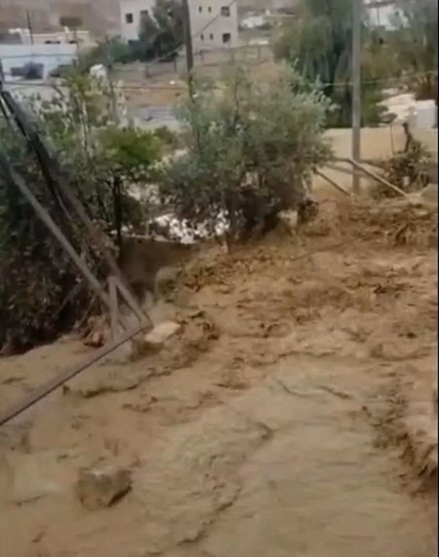 مدار الساعة,أخبار الأردن,اخبار الاردن,مديرية الأمن العام,الأمن العام,الدفاع المدني,الأرصاد الجوية