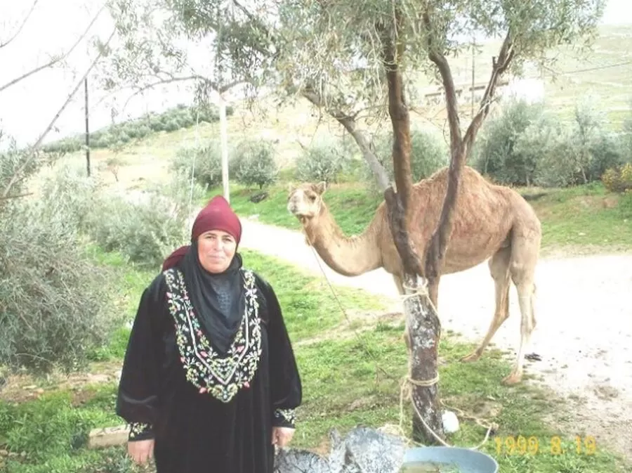 مدار الساعة,مناسبات أردنية,#ام_نزار #زيوديات #حاجة_غريسا