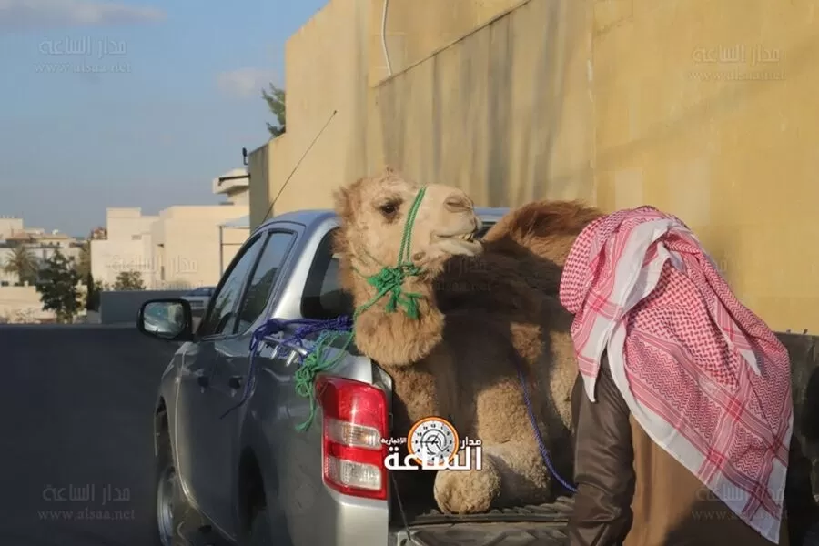 مدار الساعة,أخبار الأردن,اخبار الاردن,ولي العهد,الأمير الحسين بن عبد الله الثاني,المملكة العربية السعودية