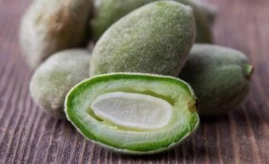 مدار الساعة,أخبار الأردن,اخبار الاردن