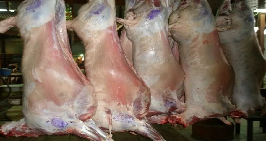 مدار الساعة,أخبار الأردن,اخبار الاردن,أمانة عمان الكبرى,1. #السلامة_العامة,2. #حملة_مراقبة_الملاحم,3. #الصحة_والسلامة_العامة