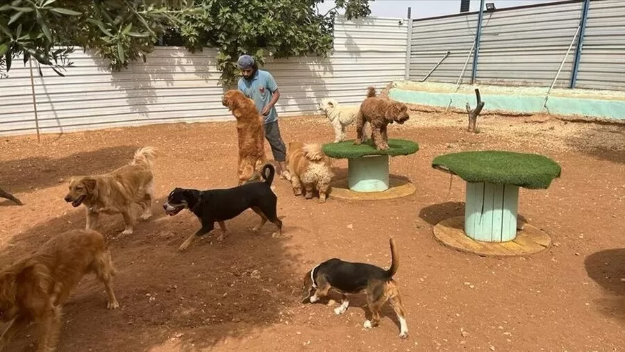 مدار الساعة,أخبار الأردن,اخبار الاردن,#حضانة_الكلاب #العناية_بالحيوانات_الأليفة #الأردن_والكلاب