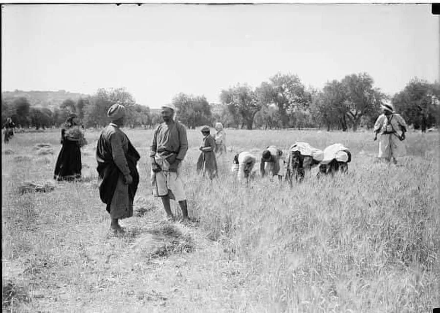 مدار الساعة,مناسبات أردنية,#وادي_بيرين #الهجرة_الموسمية #حياة_الرعاة