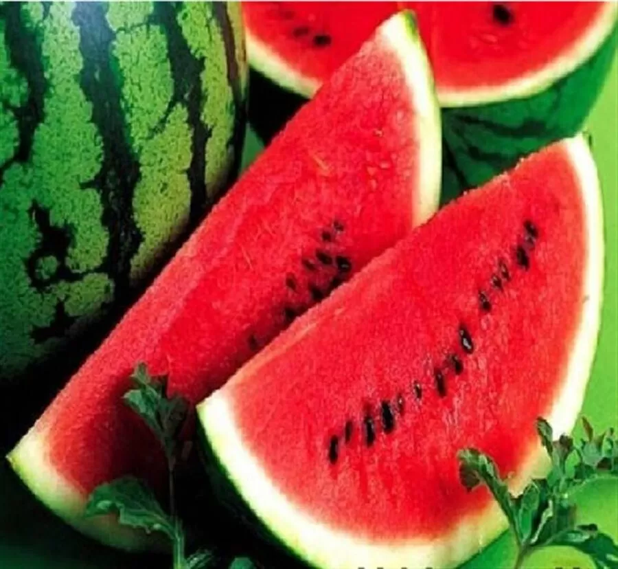مدار الساعة,أخبار خفيفة ومنوعة,#البطيخ_وفوائده #البطيخ_وضغط_الدم #البطيخ_والسكري