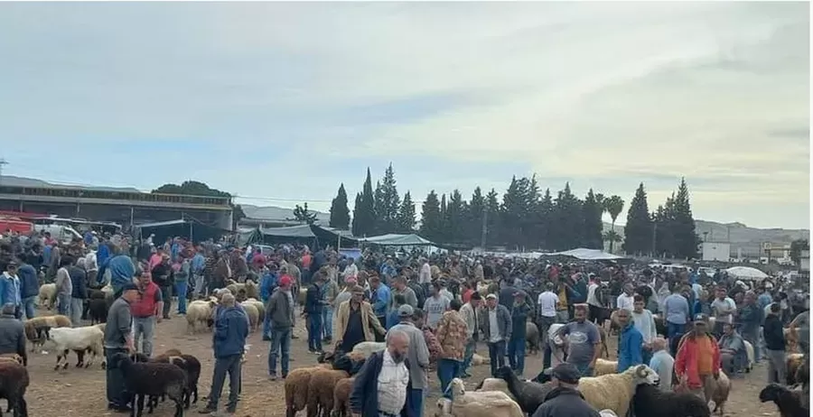 مدار الساعة,أخبار عربية ودولية,المواطنين بتخفيضها.,,1. #أضاحي_العيد_في_تونس,2. #غلاء_أسعار_الأعلاف,3. #تقاليد_العيد_في_تونس