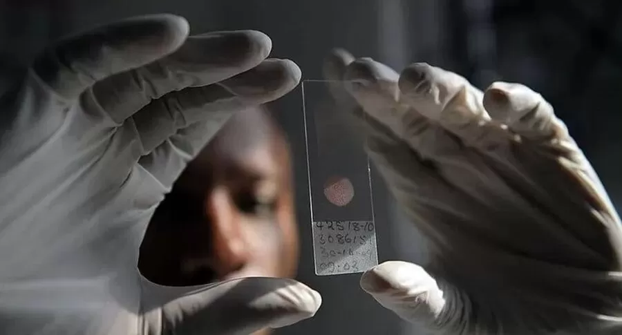 مدار الساعة,أخبار عربية ودولية,#ملاريا #الولايات_المتحدة #الوقاية_من_الأمراض