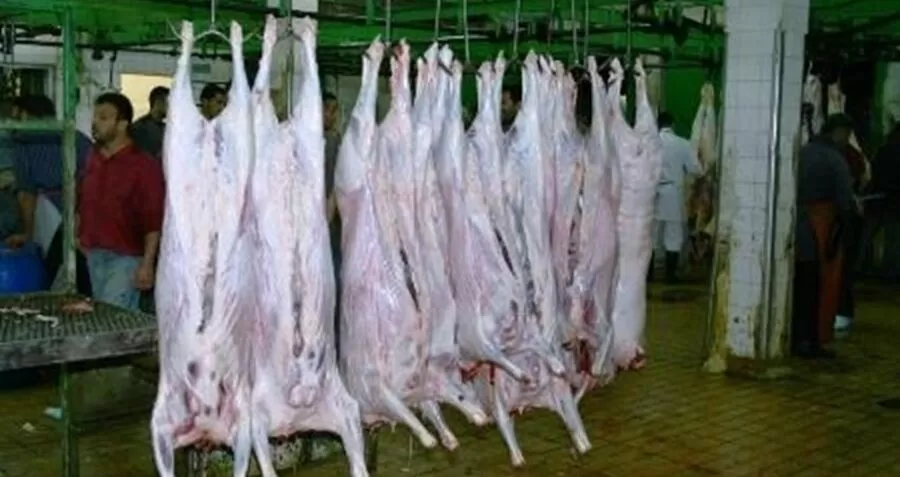 مدار الساعة,مناسبات أردنية,عيد الأضحى,#بلدية_المفرق #دوام_المسلخ_البلدي #عيد_الأضحى_المبارك