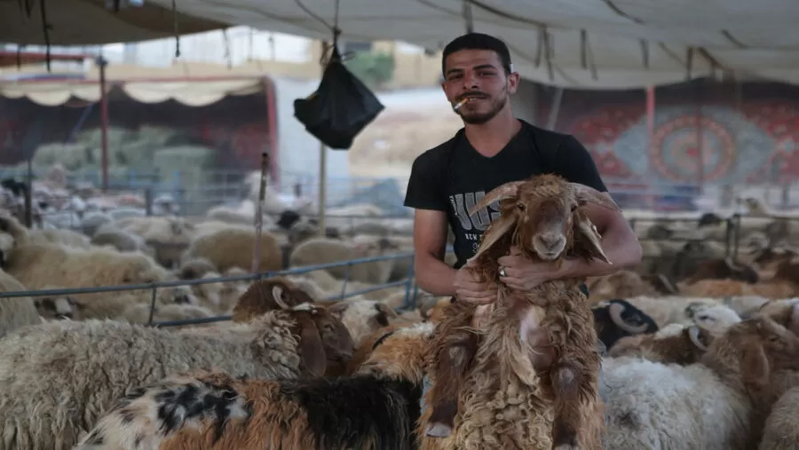 مدار الساعة,أخبار الأردن,اخبار الاردن,أمانة عمان الكبرى,عيد الأضحى,#رقابة_الأضاحي,#السلامة_الصحية,#مكافحة_التجاوزات