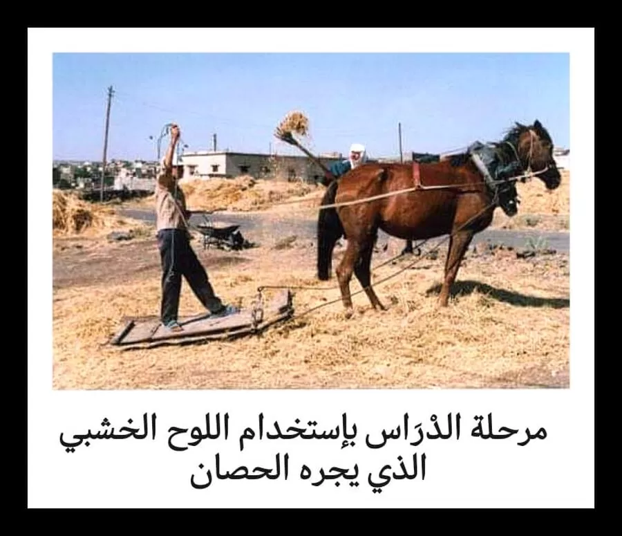 مدار الساعة,مناسبات أردنية,1. #الحصيدة_الميدانية,2. #المنجل_الزراعي,3. #حصاد_المحاصيل