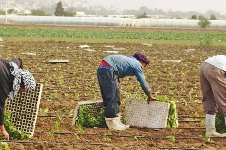 مدار الساعة,أخبار الأردن,اخبار الاردن,سلطة وادي الأردن,وادي الأردن,درجات الحرارة,#مياه_الري,#الحرارة_المرتفعة,#الطوارئ_المائية