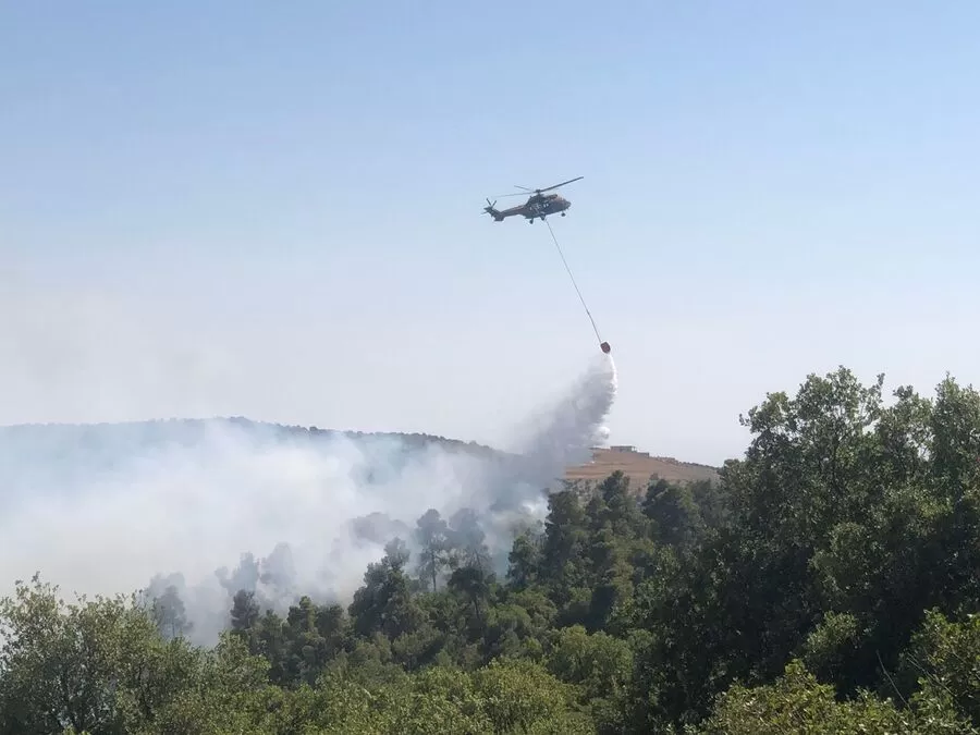 مدار الساعة,أخبار الأردن,اخبار الاردن,وزارة الزراعة,1. #حريق_عجلون_جرش,2. #الثروة_الحرجية,3. #الحفاظ_على_الغابات