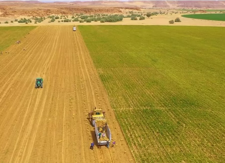 مدار الساعة,Video,فيديو,مناسبات أردنية,الضمان الاجتماعي,المجلس الأعلى لحقوق الأشخاص ذوي الإعاقة,#مشروع_الضمان_الاجتماعي,#الزراعة_للأمن_الغذائي,#الاستثمار_في_الصناعات_الزراعية