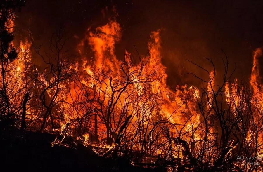 مدار الساعة,أخبار عربية ودولية,وزارة الداخلية,#حرائق_الغابات,#الجزائر,#التحقيقات