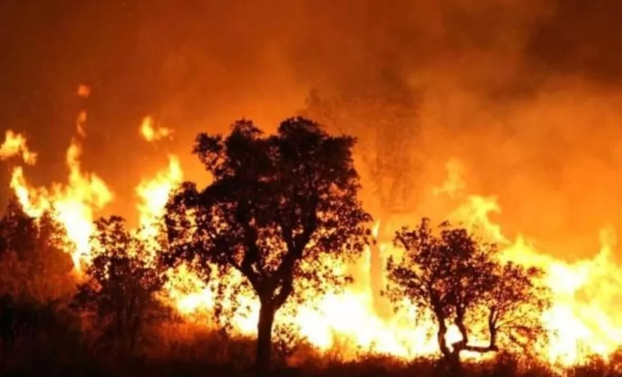 مدار الساعة,أخبار الأردن,اخبار الاردن,درجات الحرارة,1. #تغير_المناخ,2. #التهديد_الوجودي,3. #الانقراض_السادس