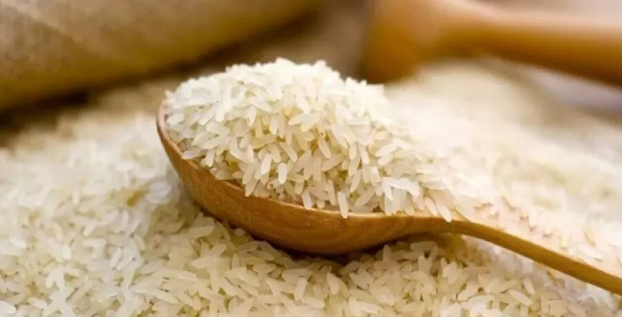 مدار الساعة,أخبار اقتصادية,غرفة تجارة الأردن,وكالة الأنباء الأردنية,1. #حظر_تصدير_الأرز_الروسي,2. #الأردن_والأرز_الروسي,3. #تأثير_حظر_تصدير_الأرز_الروسي